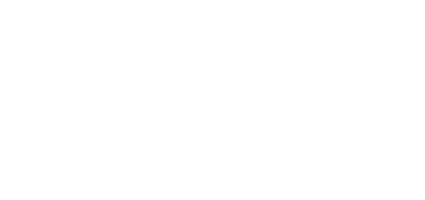 Fajtfest